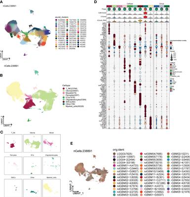 Frontiers Unraveling The Intricacies Of Glioblastoma Progression And